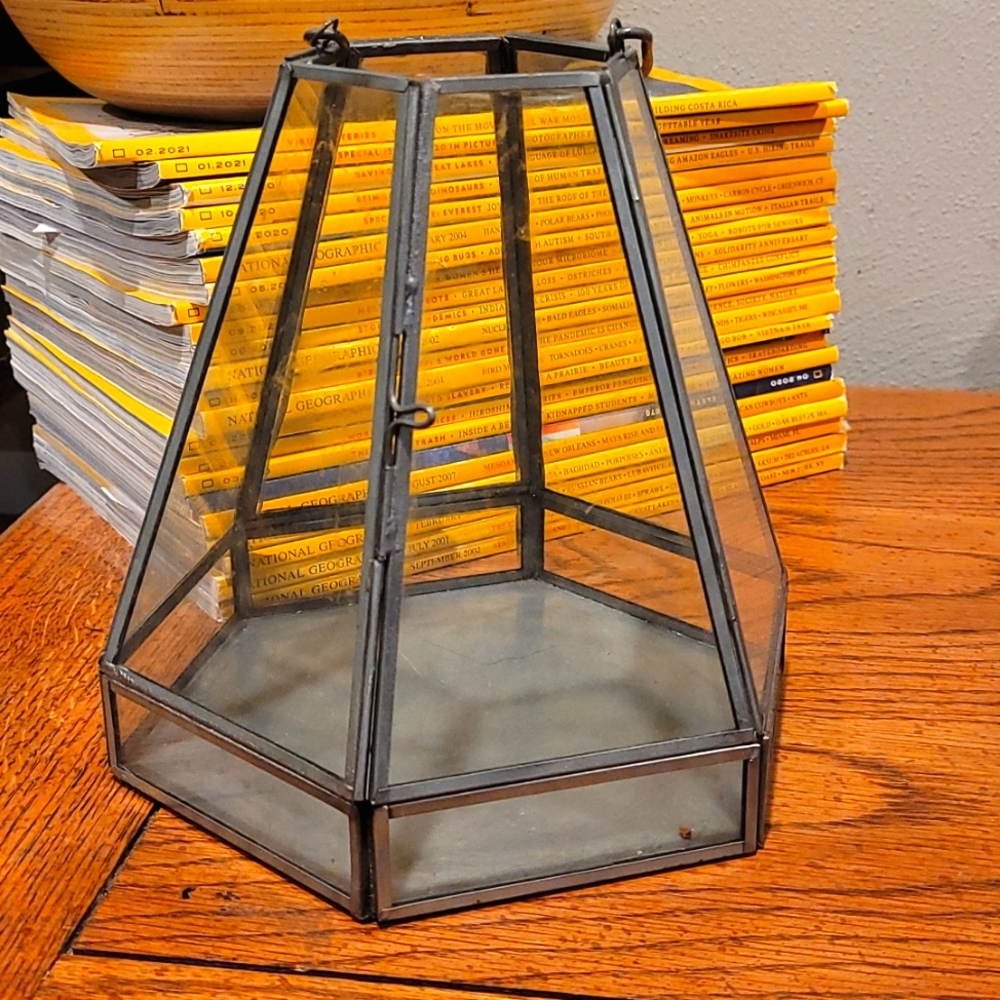 Terrarium container🌿